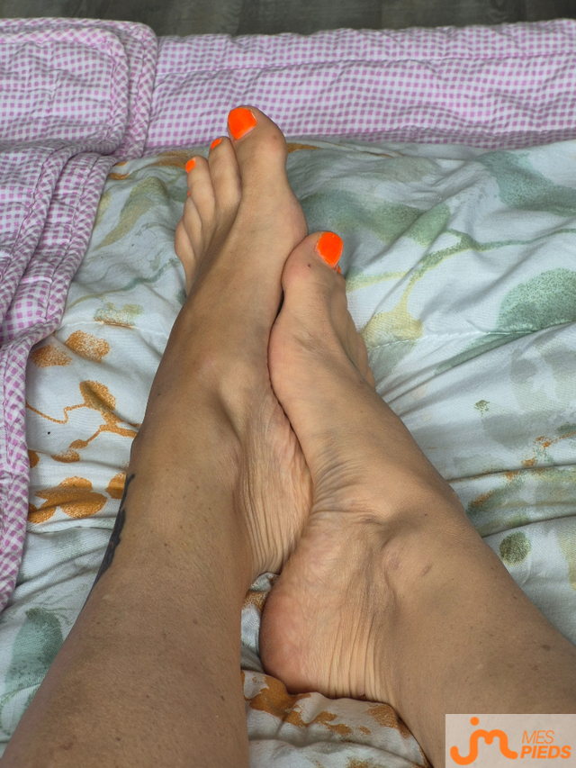 pieds de Sans soucis