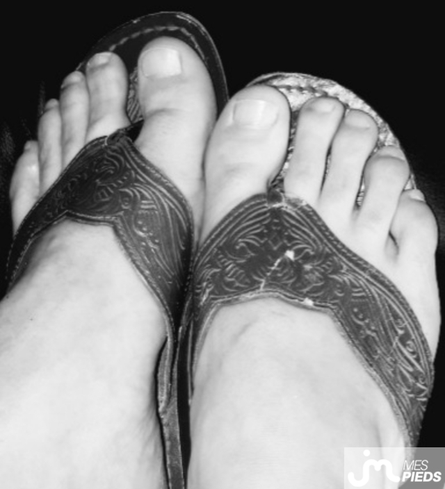 pieds de haldo