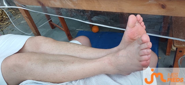 pieds de Ankhor