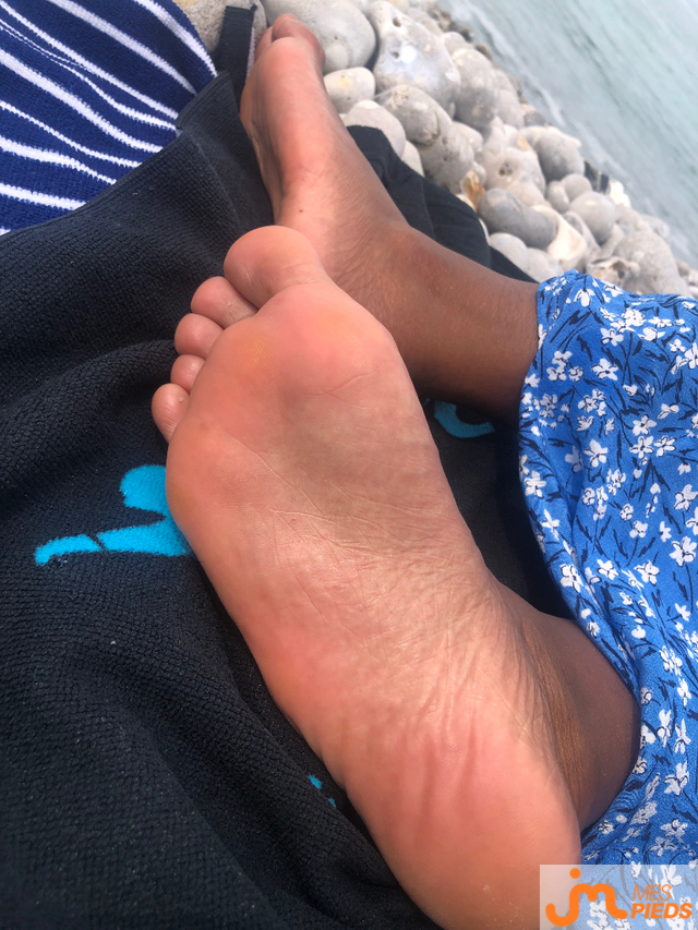 Photos de pieds : Plantes à la plage 