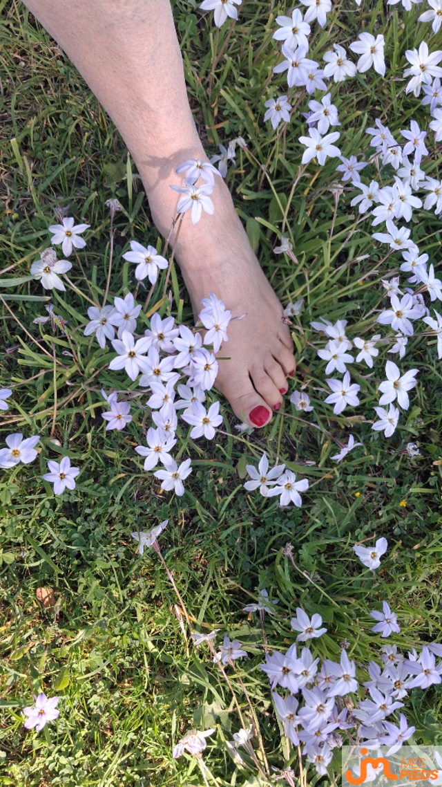 pieds de Mme florence