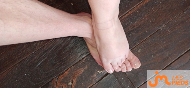 pieds de Lestitspieds