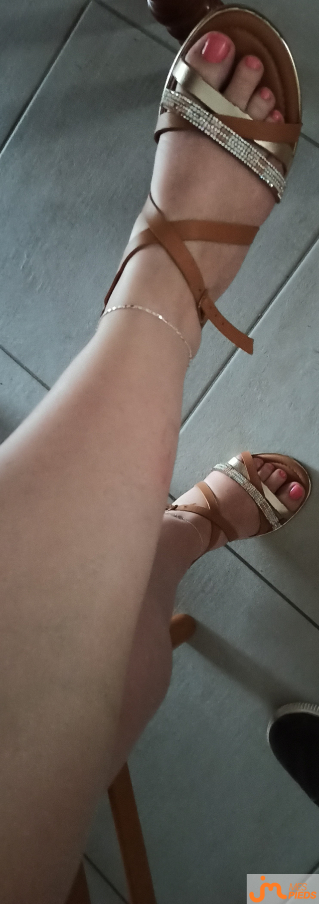 pieds de Lestitspieds