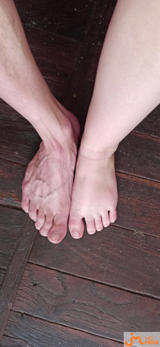 pieds de Lestitspieds
