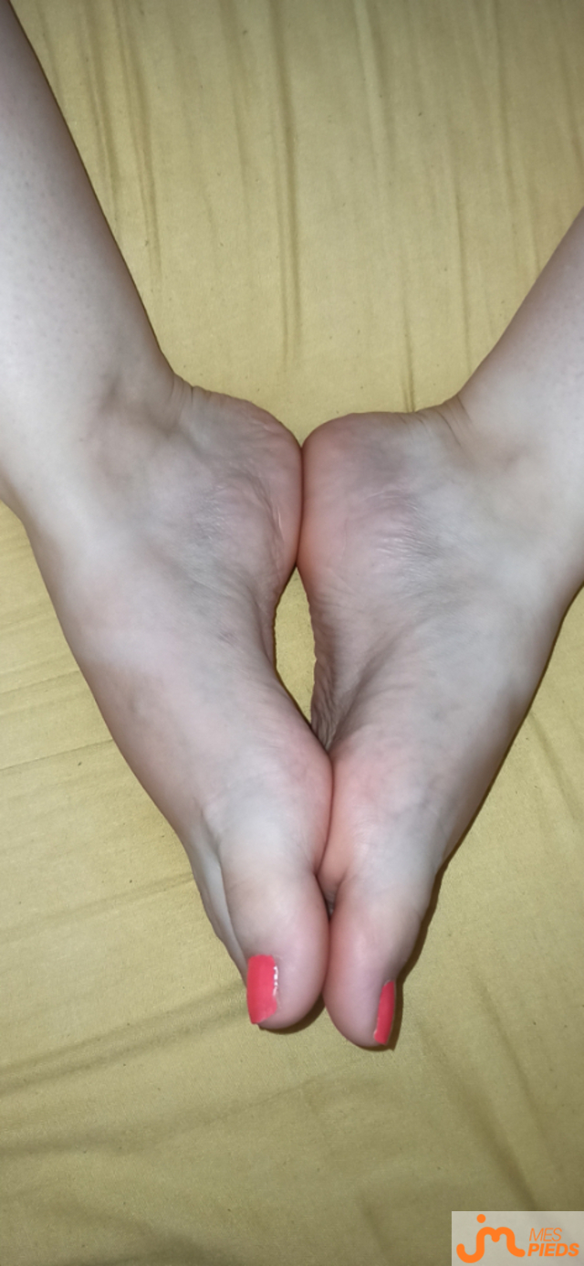 pieds de Lestitspieds