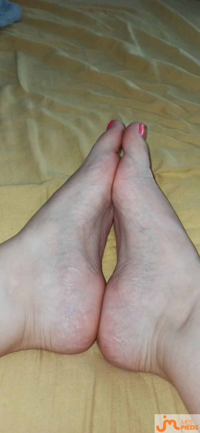 pieds de Lestitspieds