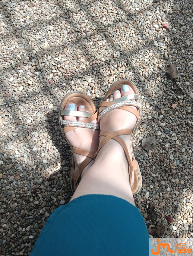 pieds de Lestitspieds