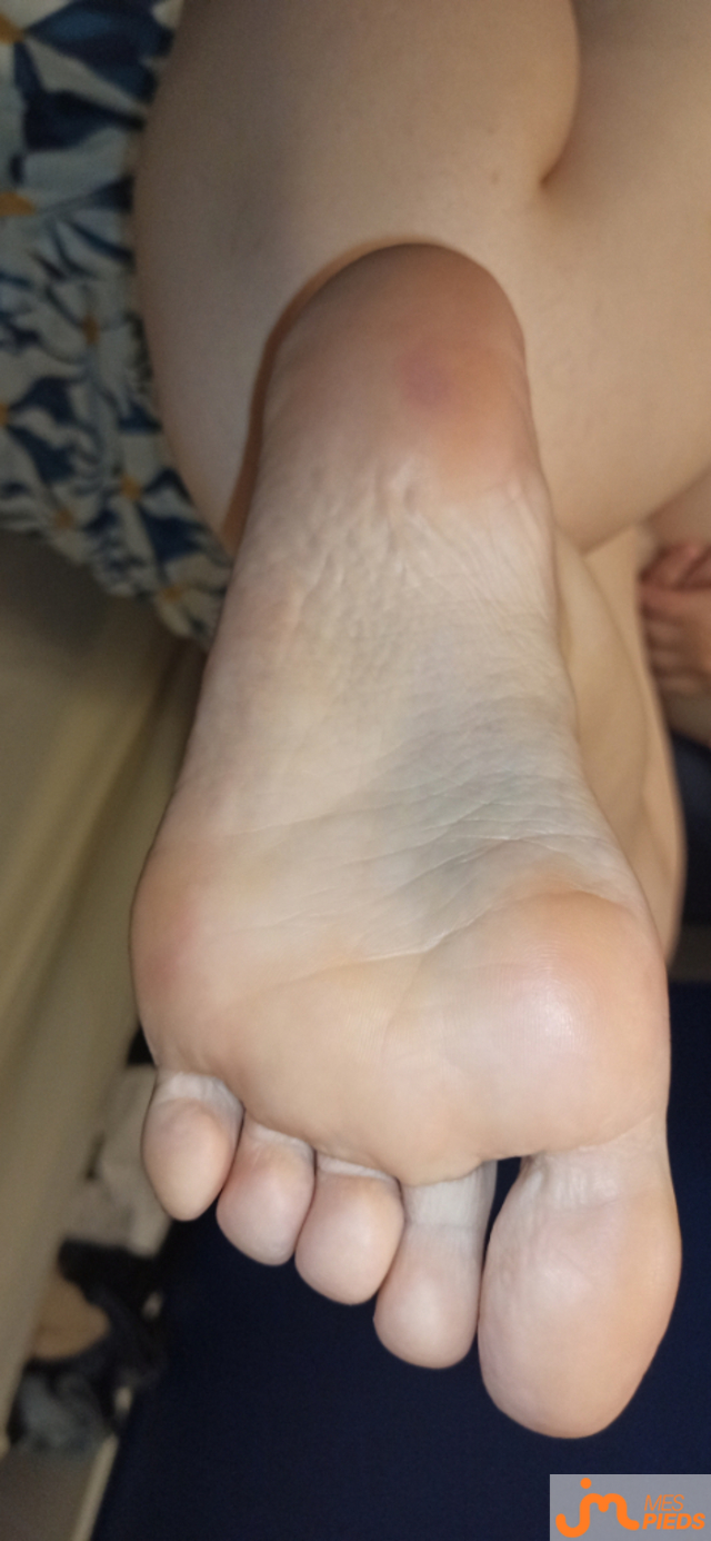 pieds de Lestitspieds