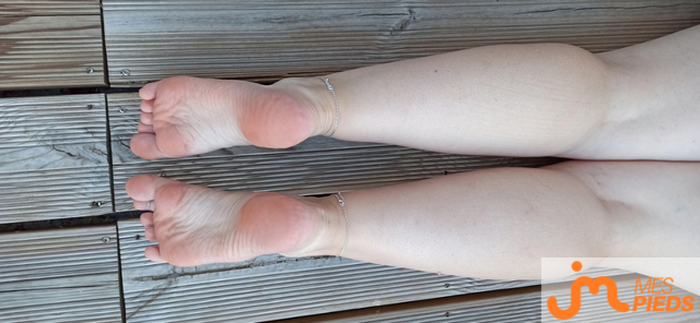 pieds de Lestitspieds