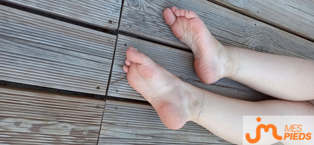 pieds de Lestitspieds