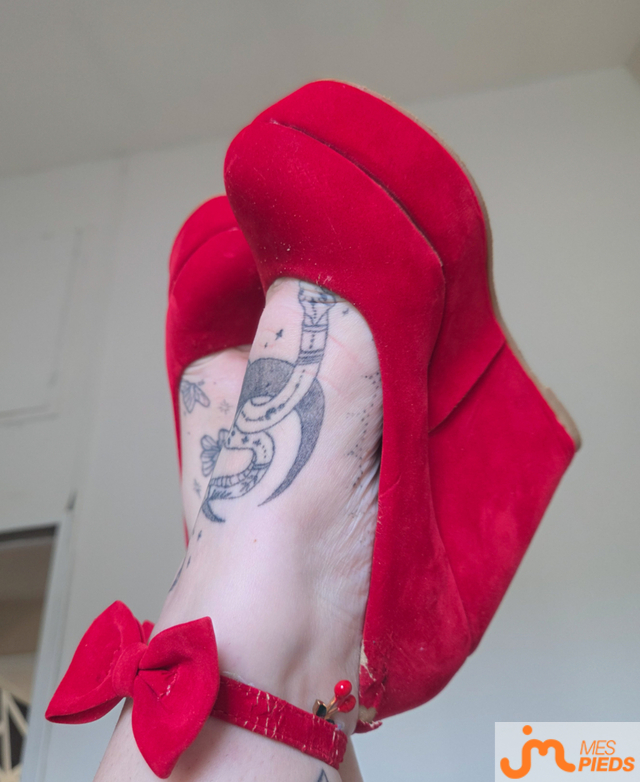 pieds de lunaria_sxy
