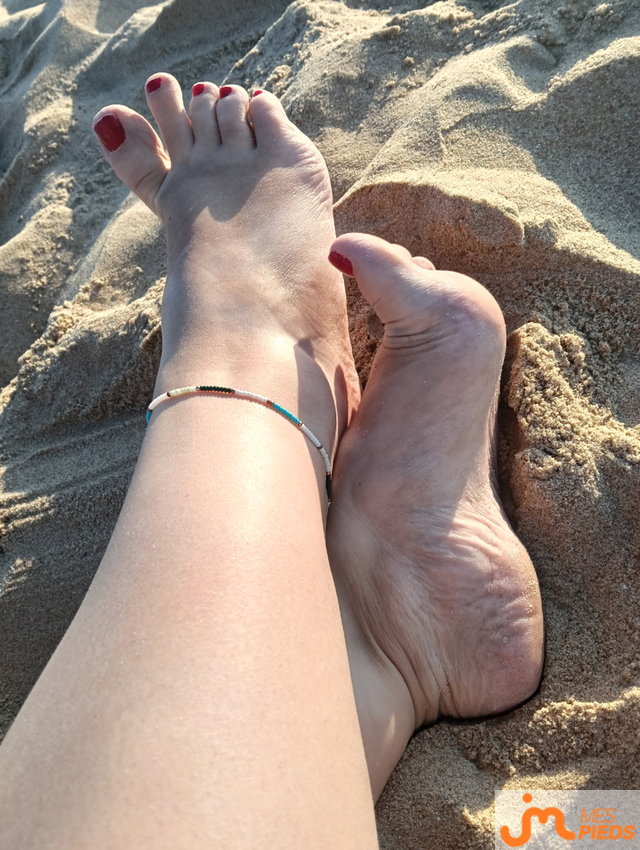 pieds de Lestitspieds