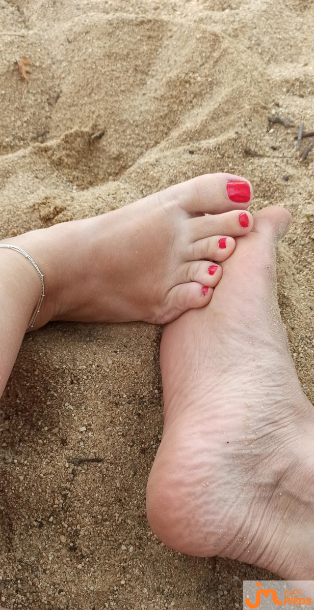 pieds de Lestitspieds