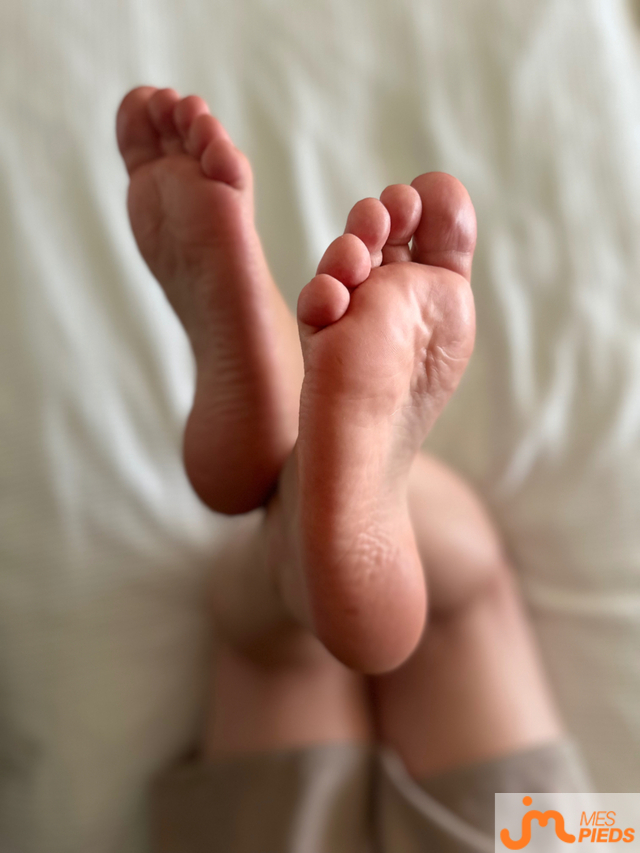 Photos de pieds : Plante
