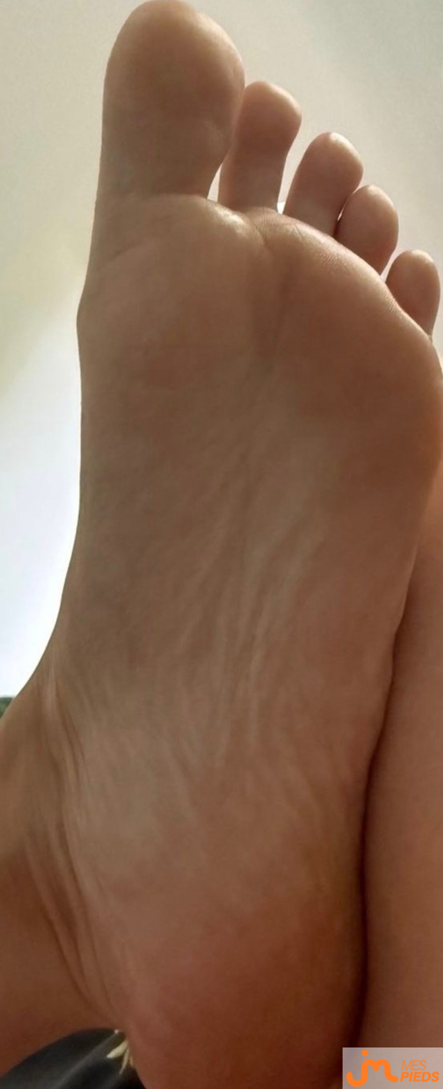 pieds de MS12