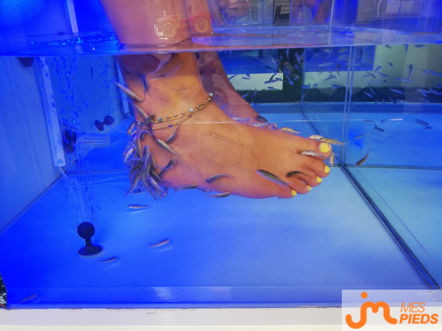 Photos de pieds : En vacances 