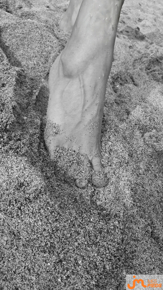 pieds de Hirondelle 