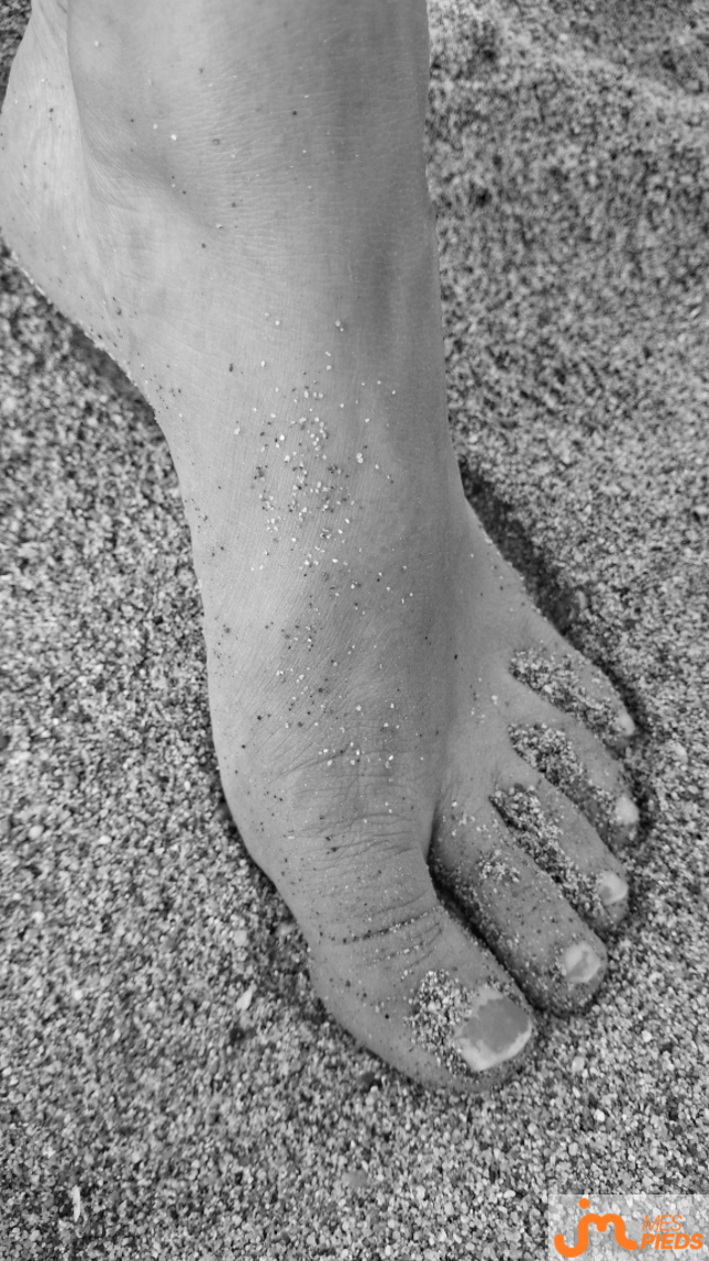 pieds de Hirondelle 