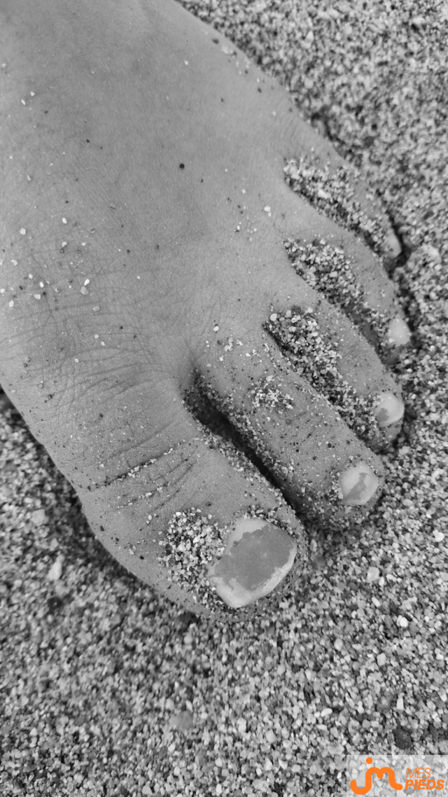 pieds de Hirondelle 