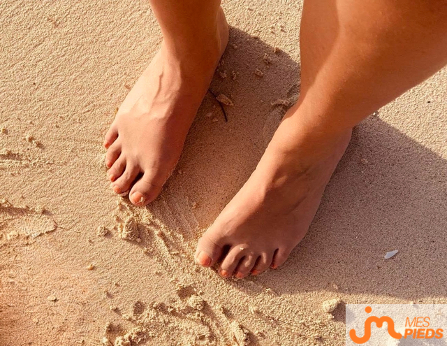 pieds de Hirondelle 