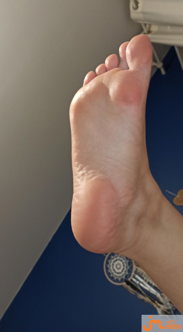 pieds de Lestitspieds