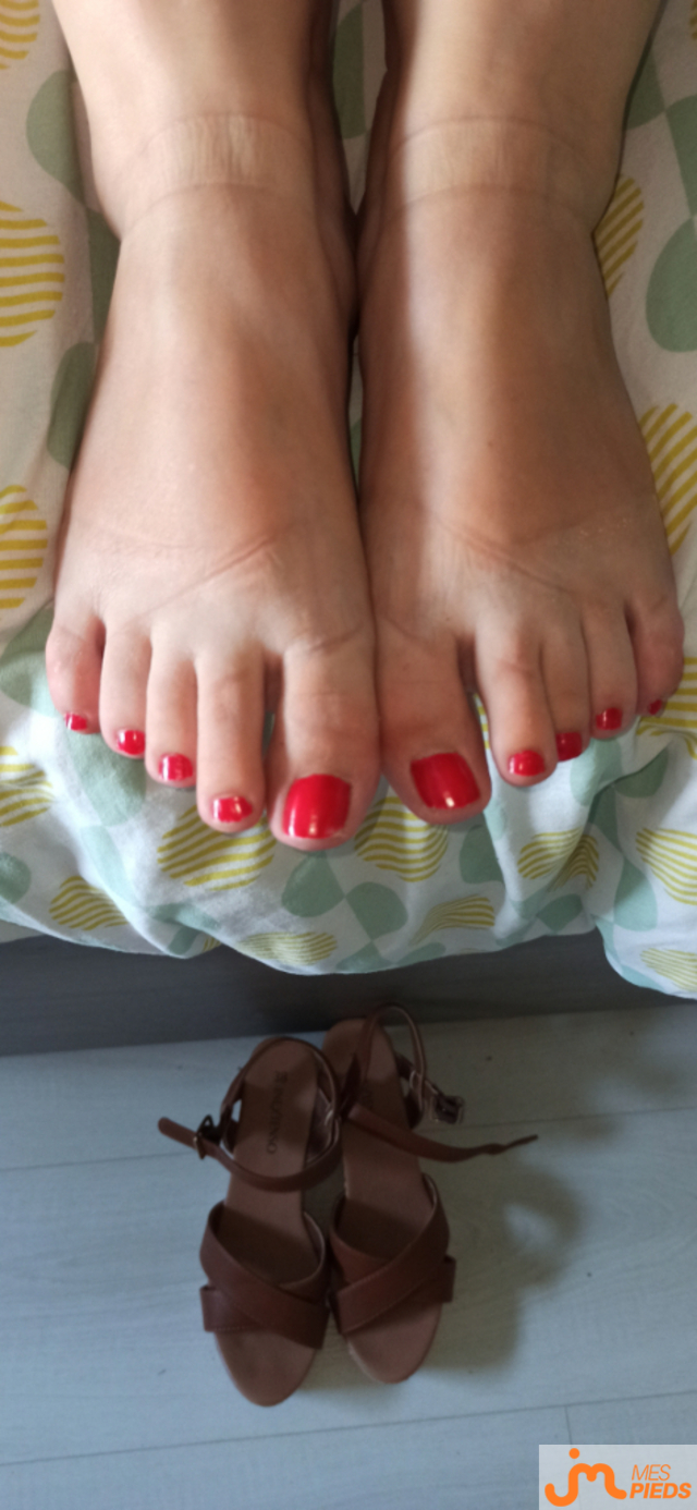 Photos de pieds : Diff&eacute;rentes compens&eacute;es et ses plantes