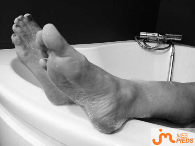 pieds de Nymea_nonyme 