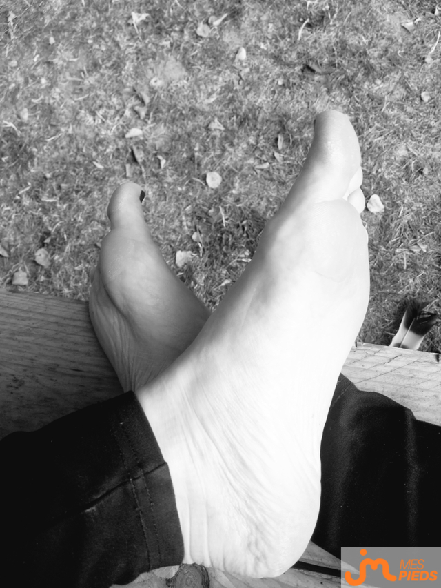 pieds de Nymea_nonyme 