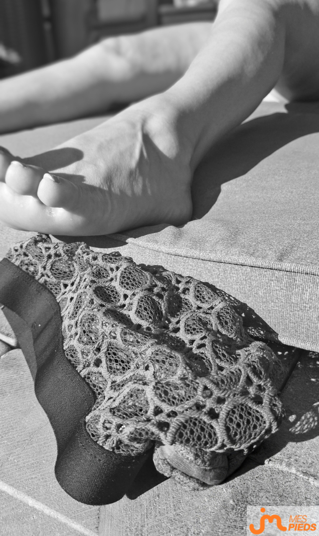 pieds de Hirondelle 