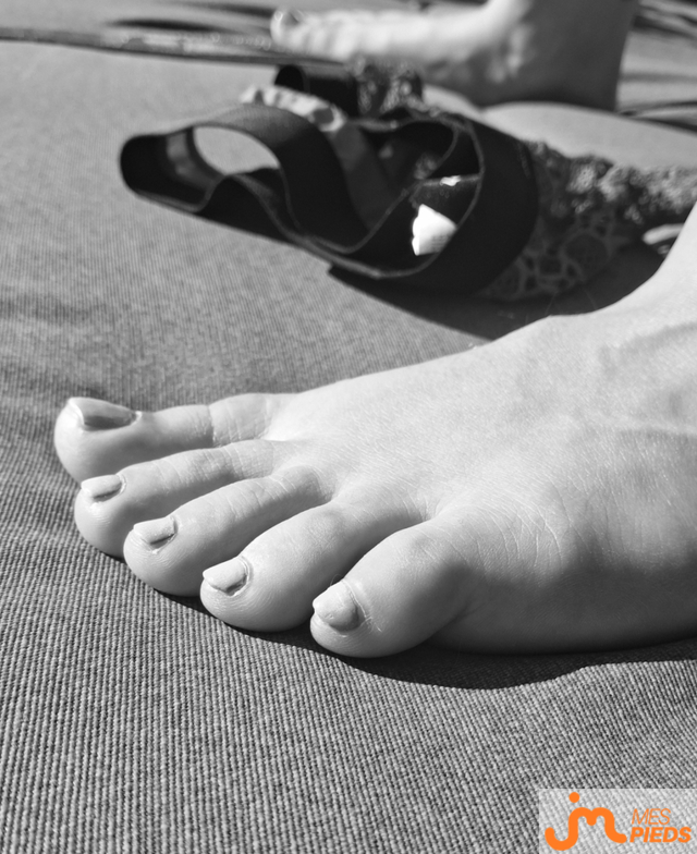 pieds de Hirondelle 