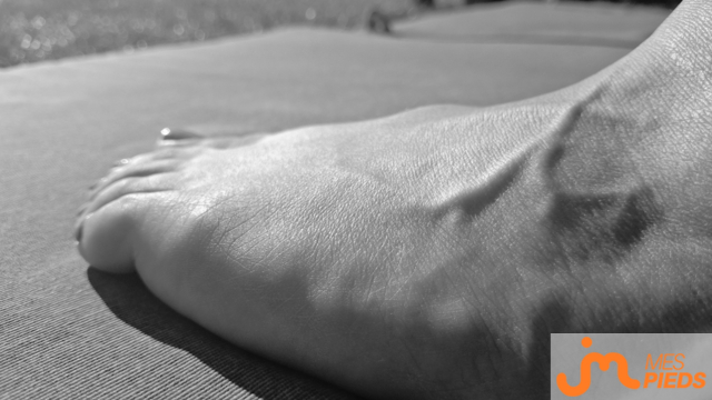 pieds de Hirondelle 