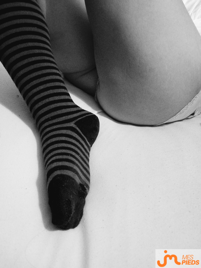 pieds de Nymea_nonyme 