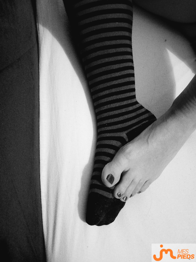 pieds de Nymea_nonyme 