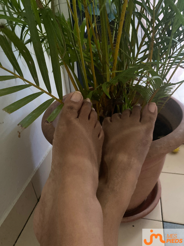 Photos de pieds : Avec ou sans manucure 💅 