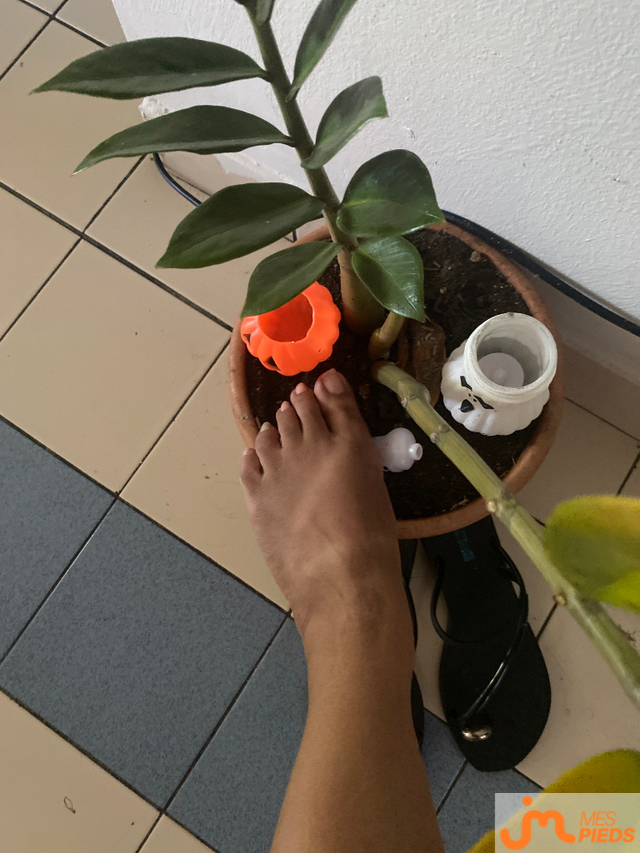pieds de Blue lou