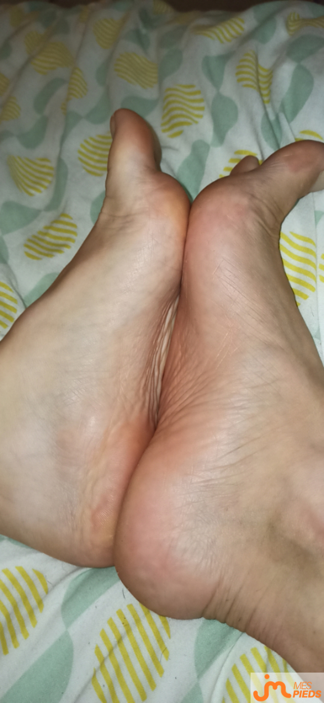 pieds de Lestitspieds